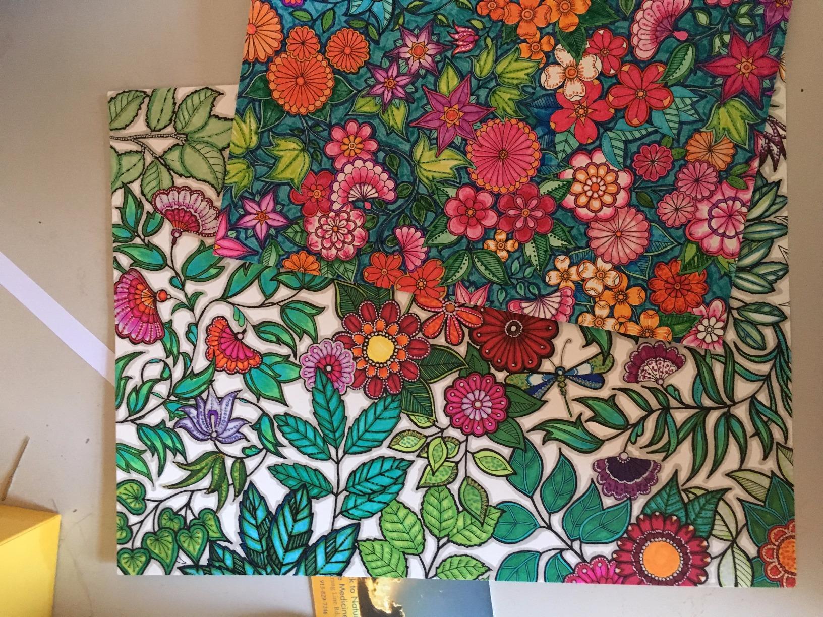 Secret Garden: An Inky Treasure Hunt and Coloring Book for Adults customer photo 1