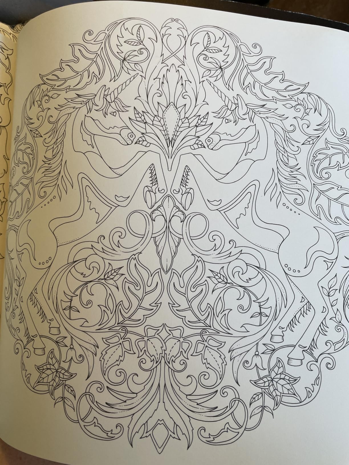 Enchanted Forest: An Inky Quest and Coloring Book (Activity Books, Mindfulness and Meditation, Illustrated Floral Prints) customer photo 1