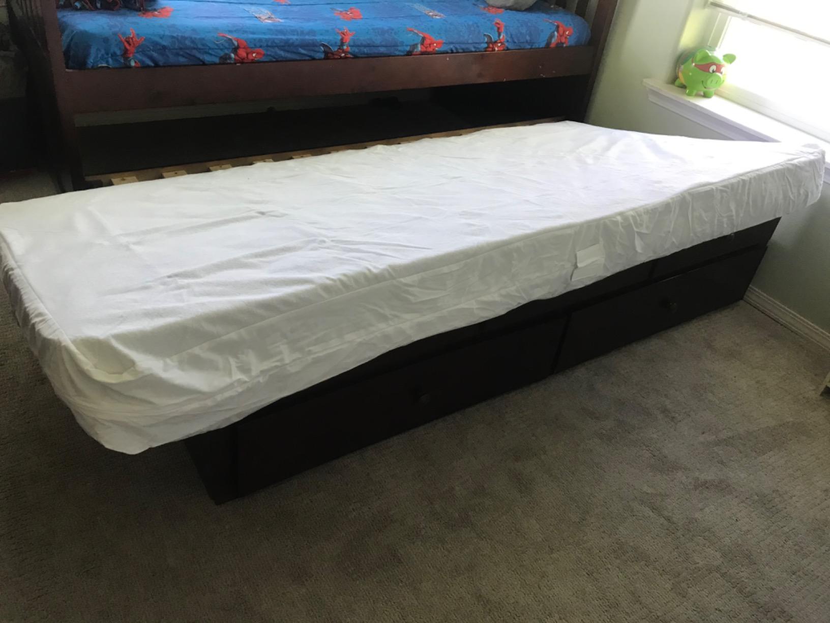 Queen (13-16 in. Deep) SureGuard Mattress Encasement - 100% Waterproof, Bed Bug Proof, Hypoallergenic - Premium Zippered Six-Sided Cover customer photo 1