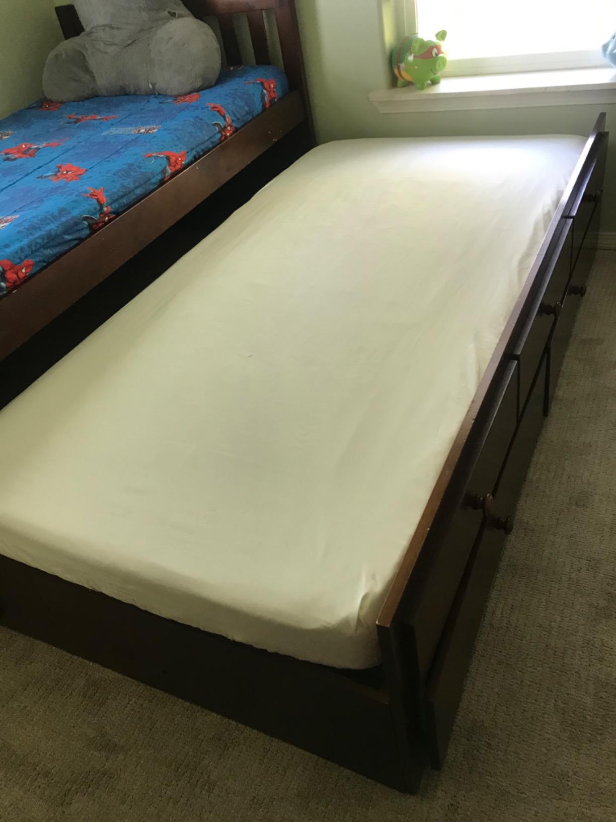 Queen (13-16 in. Deep) SureGuard Mattress Encasement - 100% Waterproof, Bed Bug Proof, Hypoallergenic - Premium Zippered Six-Sided Cover customer photo 2