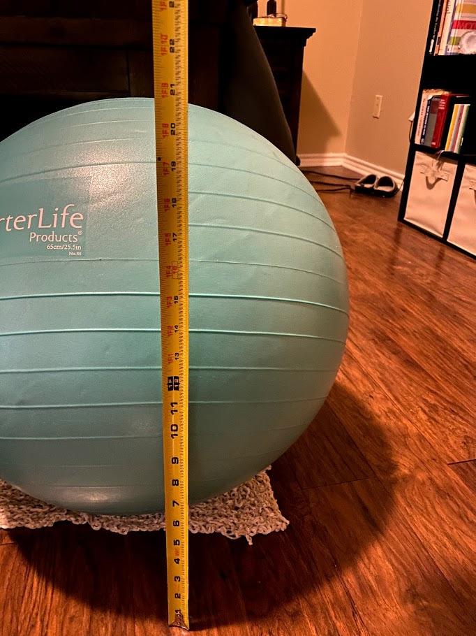 URBNFit Exercise Ball - Yoga Ball for Workout Pregnancy Stability - AntiBurst Swiss Balance Ball w/ Pump - Fitness Ball Chair for Office, Home Gym customer photo 2