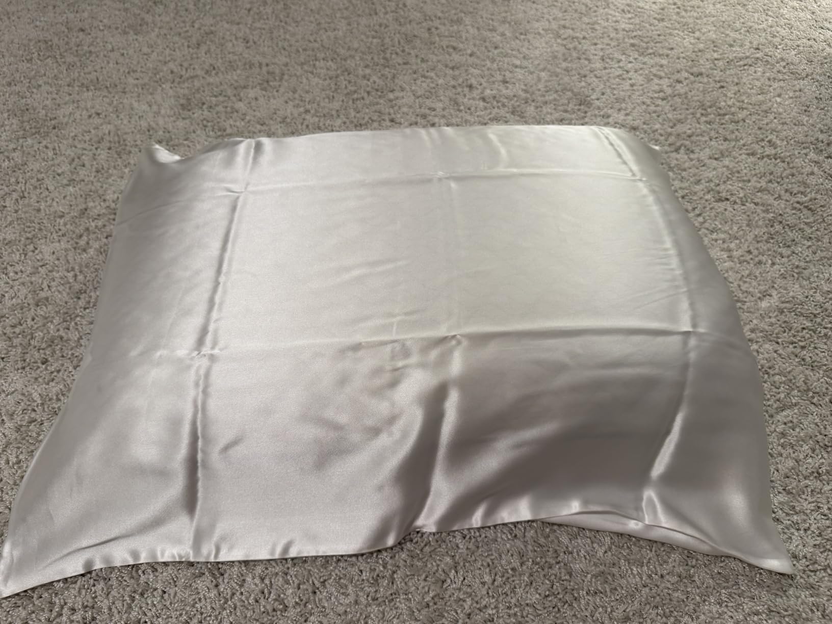 ZIMASILK 100% Pure Mulberry Silk Pillow Cases for Hair and Skin, Soft, Hypoallergenic & Smooth, Both Sides Grade 6A Silk, with Hidden Zipper, Gift for Women Men, 1pc (Queen 20''x30'', Taupe) customer photo 1