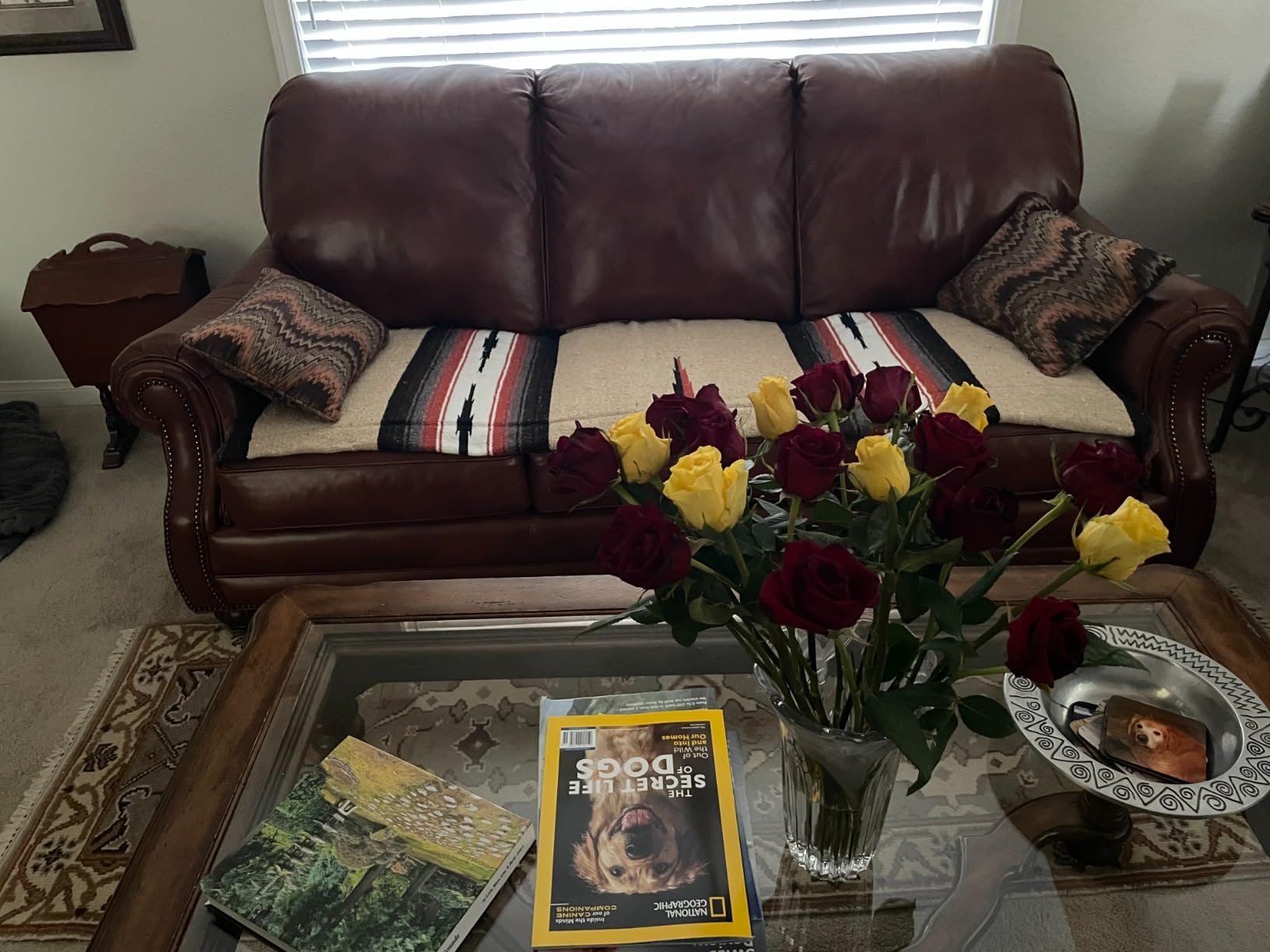Open Road Goods Mexican Diamond Blanket - XL Heavyweight Yoga Blanket - Handmade in Mexico - Thick Boho Serape Saltillo Style customer photo 2