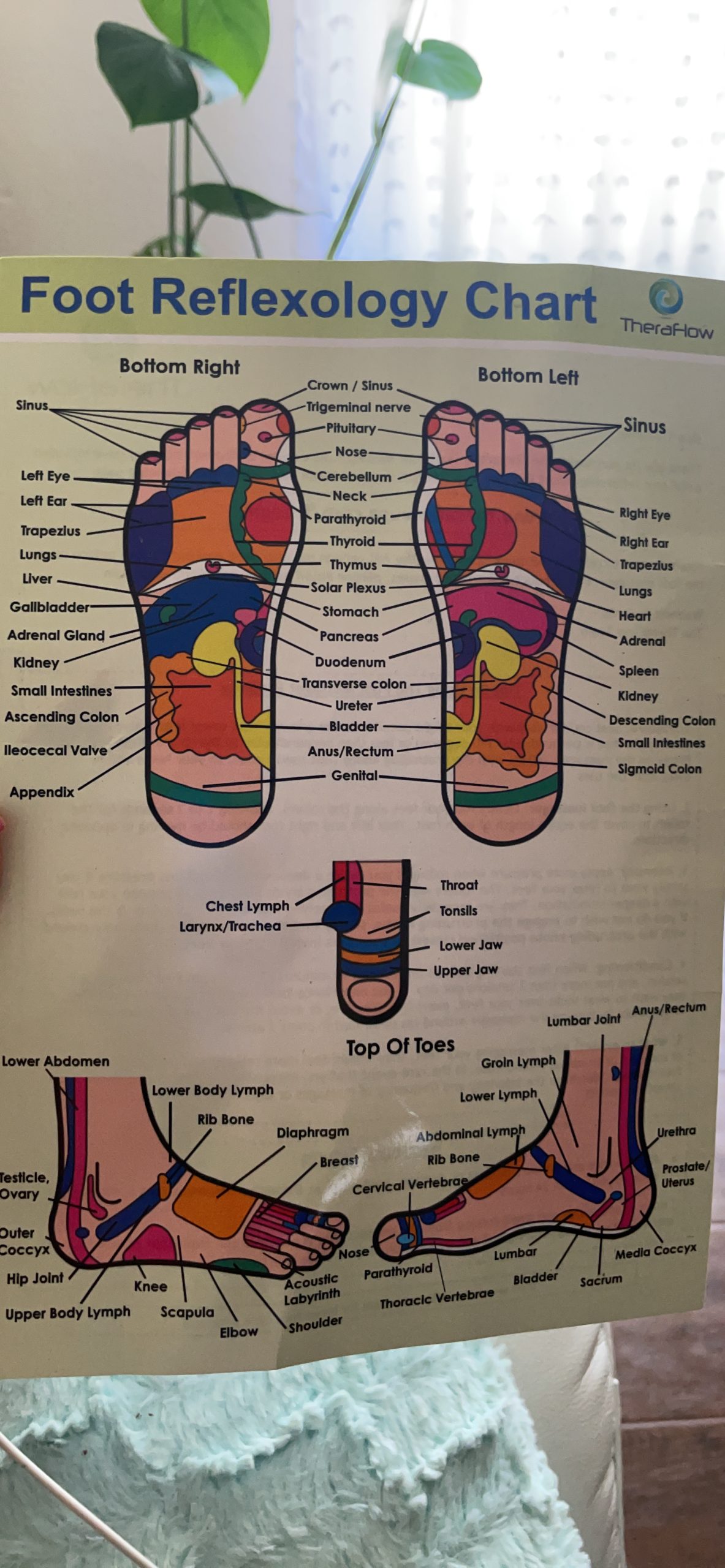 TheraFlow Foot Massager for Plantar Fasciitis Relief - Mom Gifts for Women & Gifts for Dad, Wooden Foot Roller Massager with Deep Tissue & Reflexology Nubs (Includes Reflexology Chart) customer photo 1