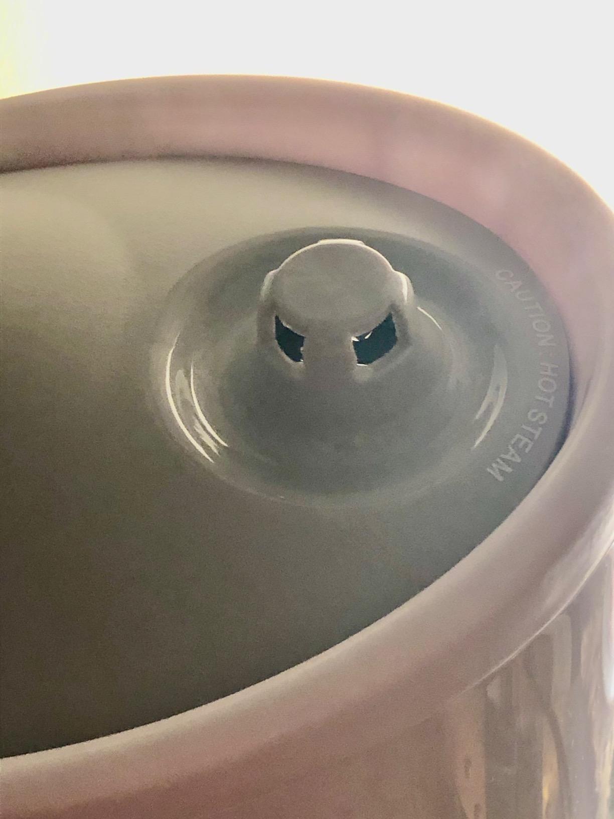 Steamfast SF-920 Warm Mist Humidifier and Steam Vaporizer with Auto Shut-Off, Filter-Free Design, Aromatherapy Essential Oil Ready, 1 Gallon Capacity, White customer photo 1