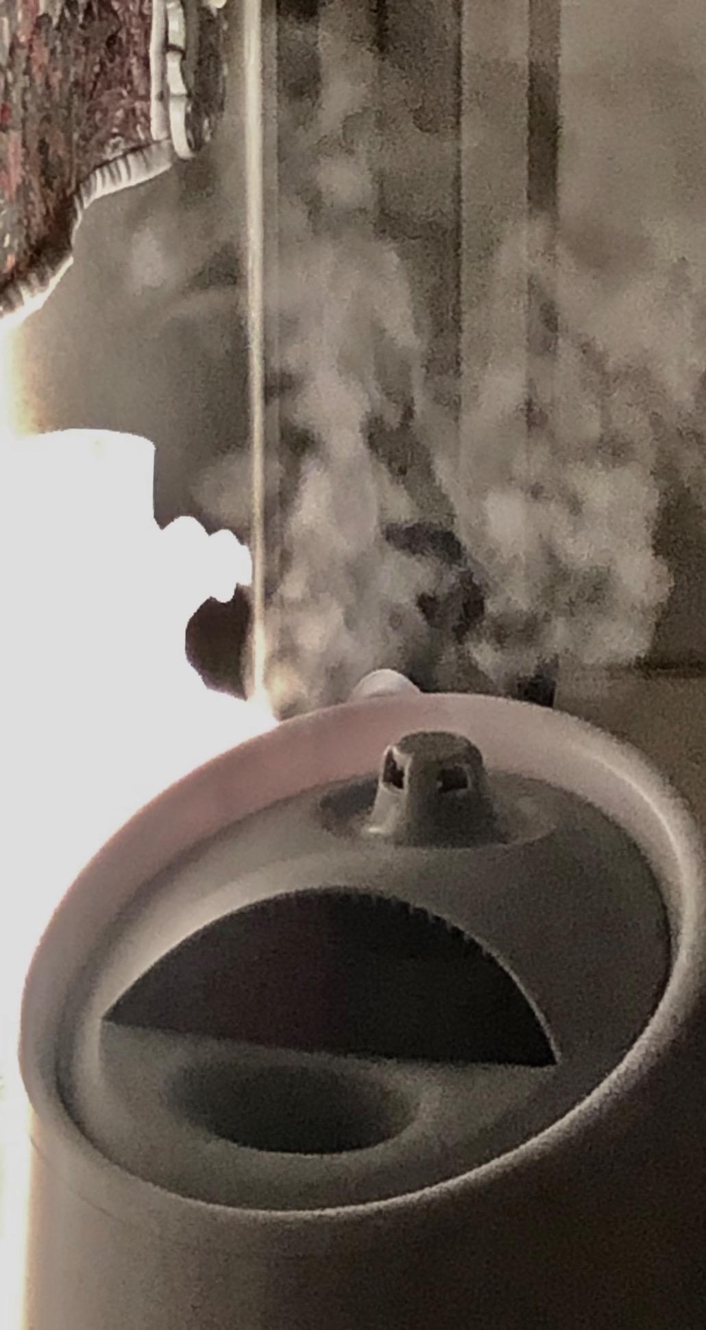 Steamfast SF-920 Warm Mist Humidifier and Steam Vaporizer with Auto Shut-Off, Filter-Free Design, Aromatherapy Essential Oil Ready, 1 Gallon Capacity, White customer photo 2