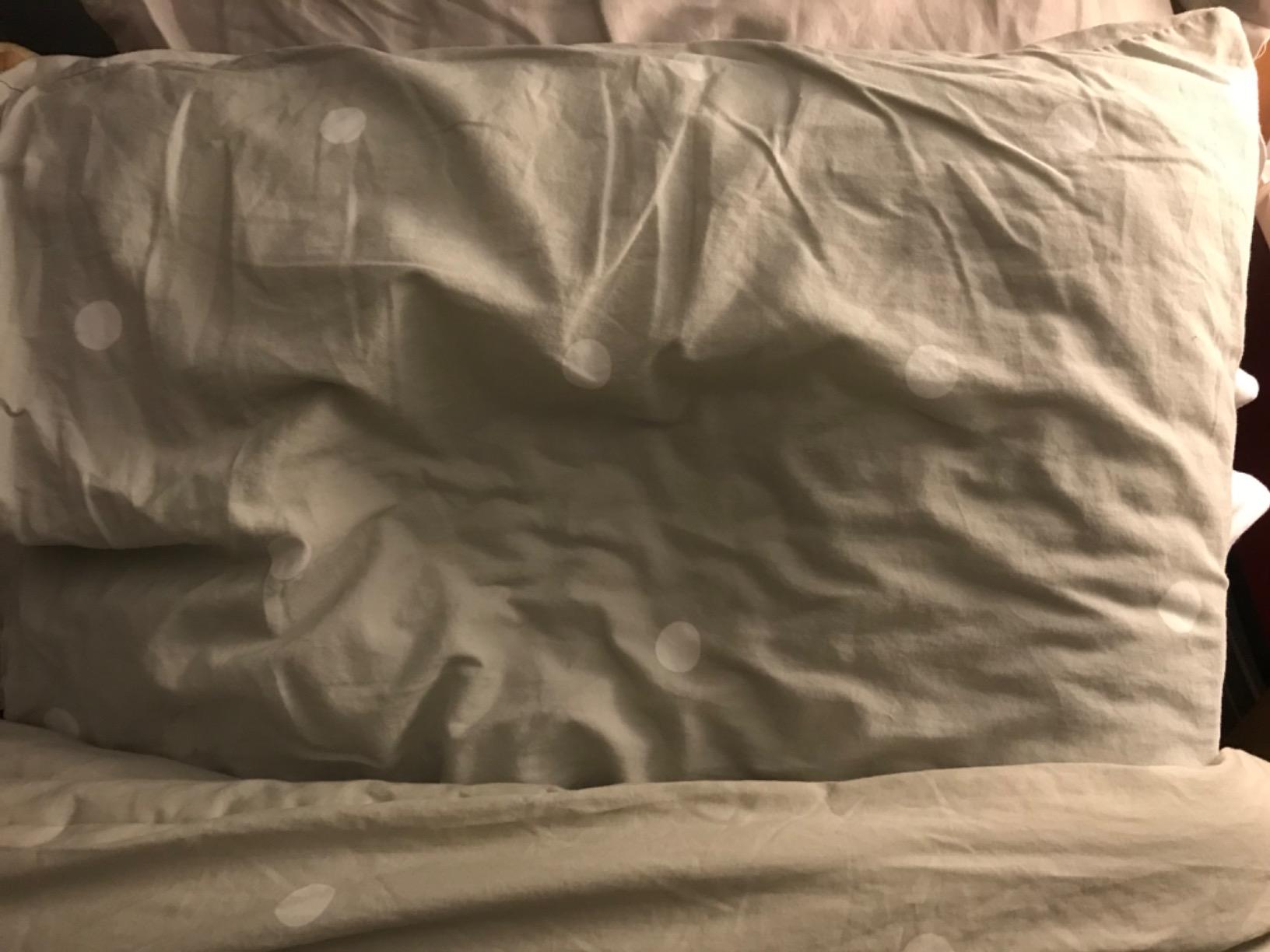 Tempur-Pedic TEMPUR-Cloud Pillow for Sleeping, Standard, White customer photo 2