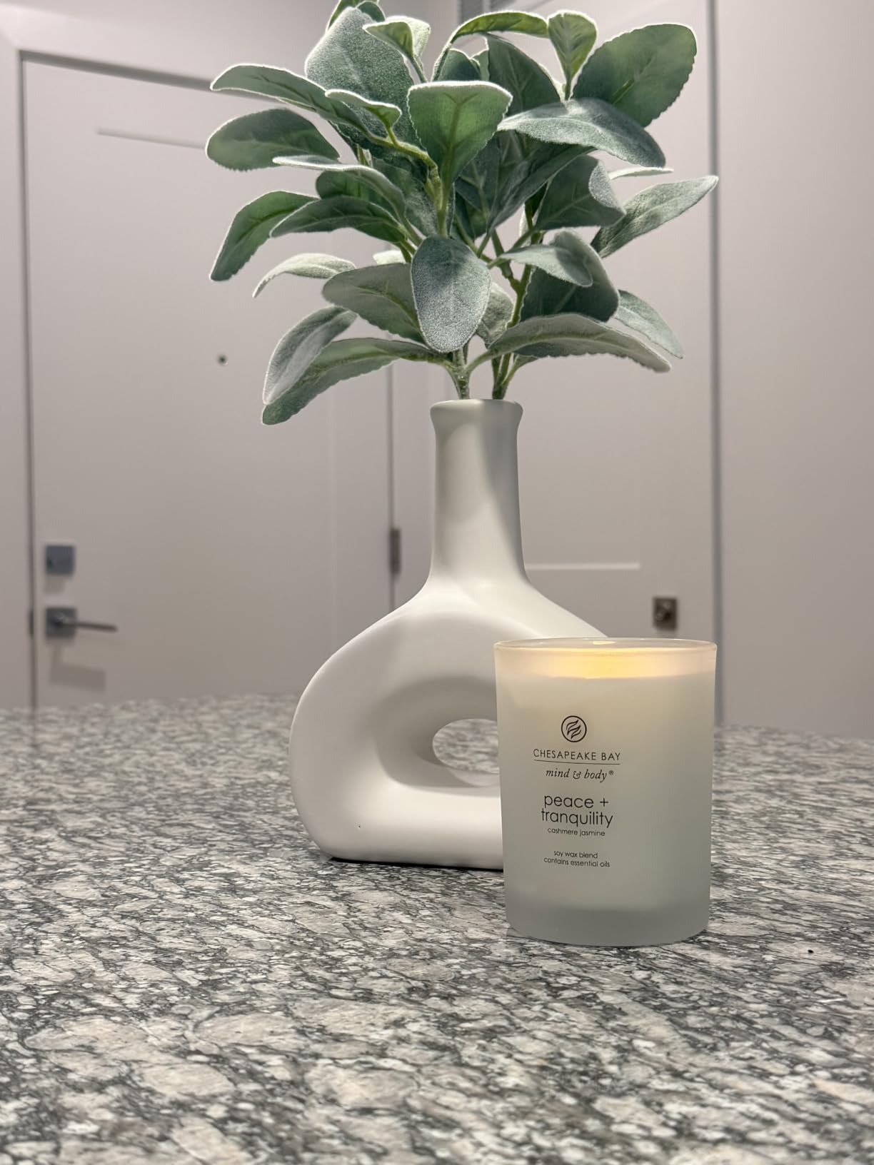 Chesapeake Bay Candle Scented Candle Serenity + Calm (Lavender Thyme) Coffee Table Home Décor customer photo 1