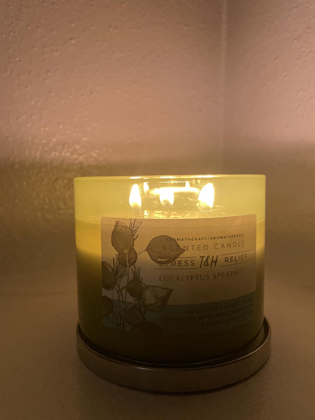 Eucalyptus Spearmint Scented Candle | 15.8 oz Large 3 Wick Soy Candle | Soothing Aromatherapy Candle for Home | Fresh Mint Spa Scent | Long Lasting Clean Burn | Relaxation & Yoga Gift for Women & Men customer photo 1