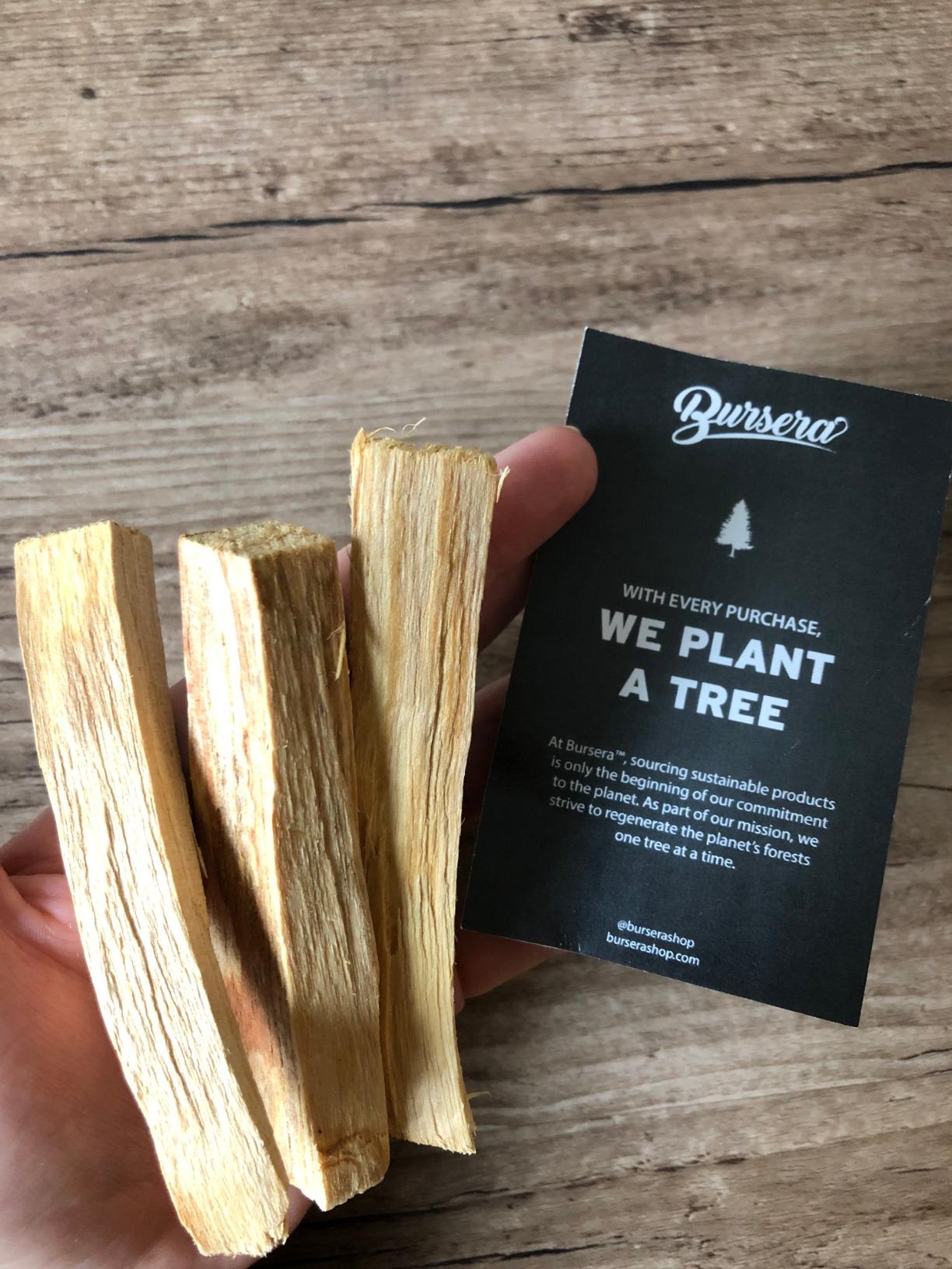 Bursera Palo Santo Sticks, Tree Planted with Every Order, 100% Natural, Ethical & Sustainable, 5-Pack Authentic Real Palo Santo Wood Incense Sticks from Peru for Aromatherapy, Smudging customer photo 1