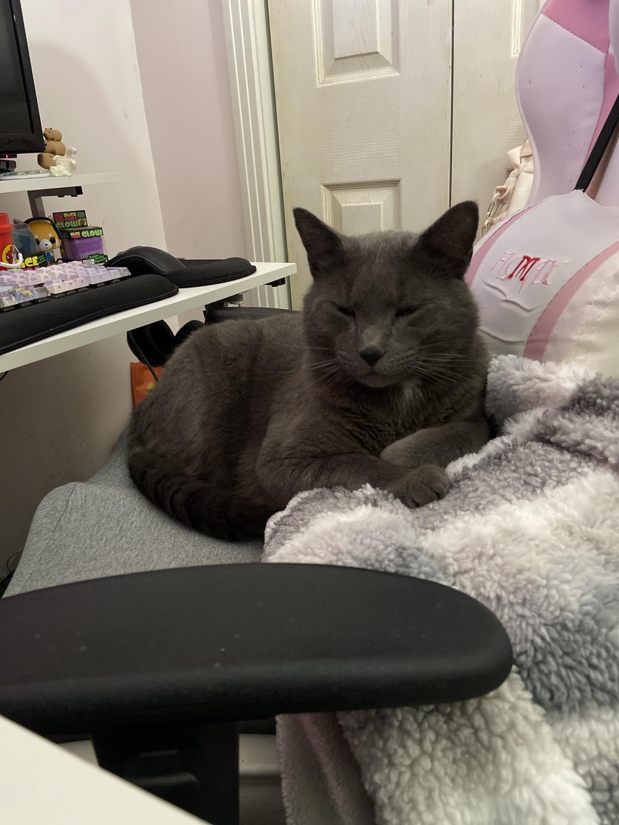 C CUSHION LAB Patented Pressure Relief Seat Cushion for Long Sitting Hours on Office/Home Chair, Car, Wheelchair - Extra-Dense Memory Foam for Hip, Tailbone, Coccyx, Sciatica - Wellness Green customer photo 1
