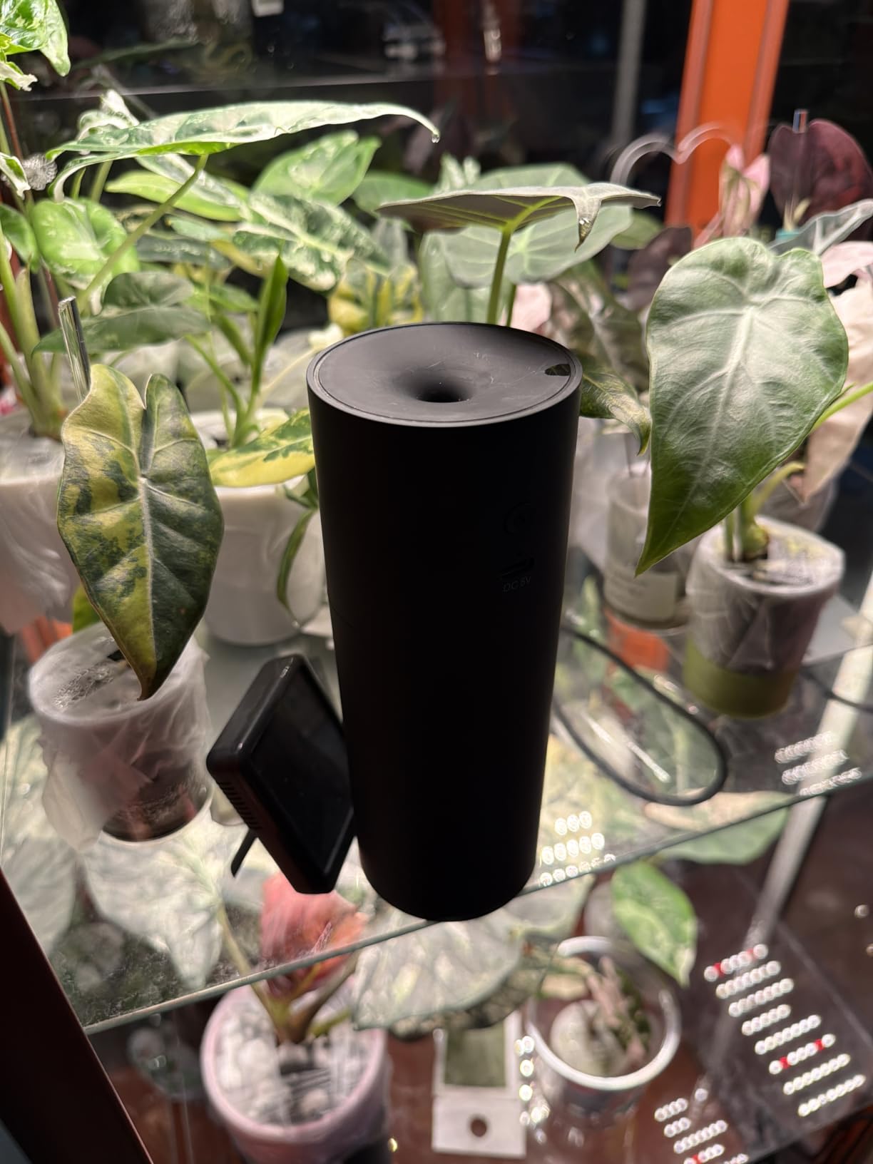 Homedics Portable Humidifier - Small Air Humidifiers for Bedroom, Plants, Office, Travel - Cool Mist Humidifiers, Color-Changing Accent Light, 2 Mist Settings, Matte Black customer photo 1
