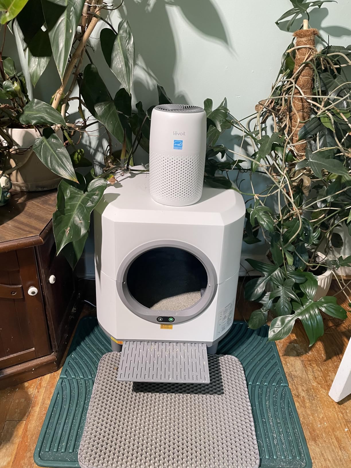 LEVOIT Air Purifiers for Bedroom Home Dorm, AHAM VERIFIDE, 3-in-1 Filter Cleaner With Aroma Pad, Filters Smoke, Allergens, Pet Dander, Odor, Dust, Office, Desktop, Core Mini-P, White customer photo 1