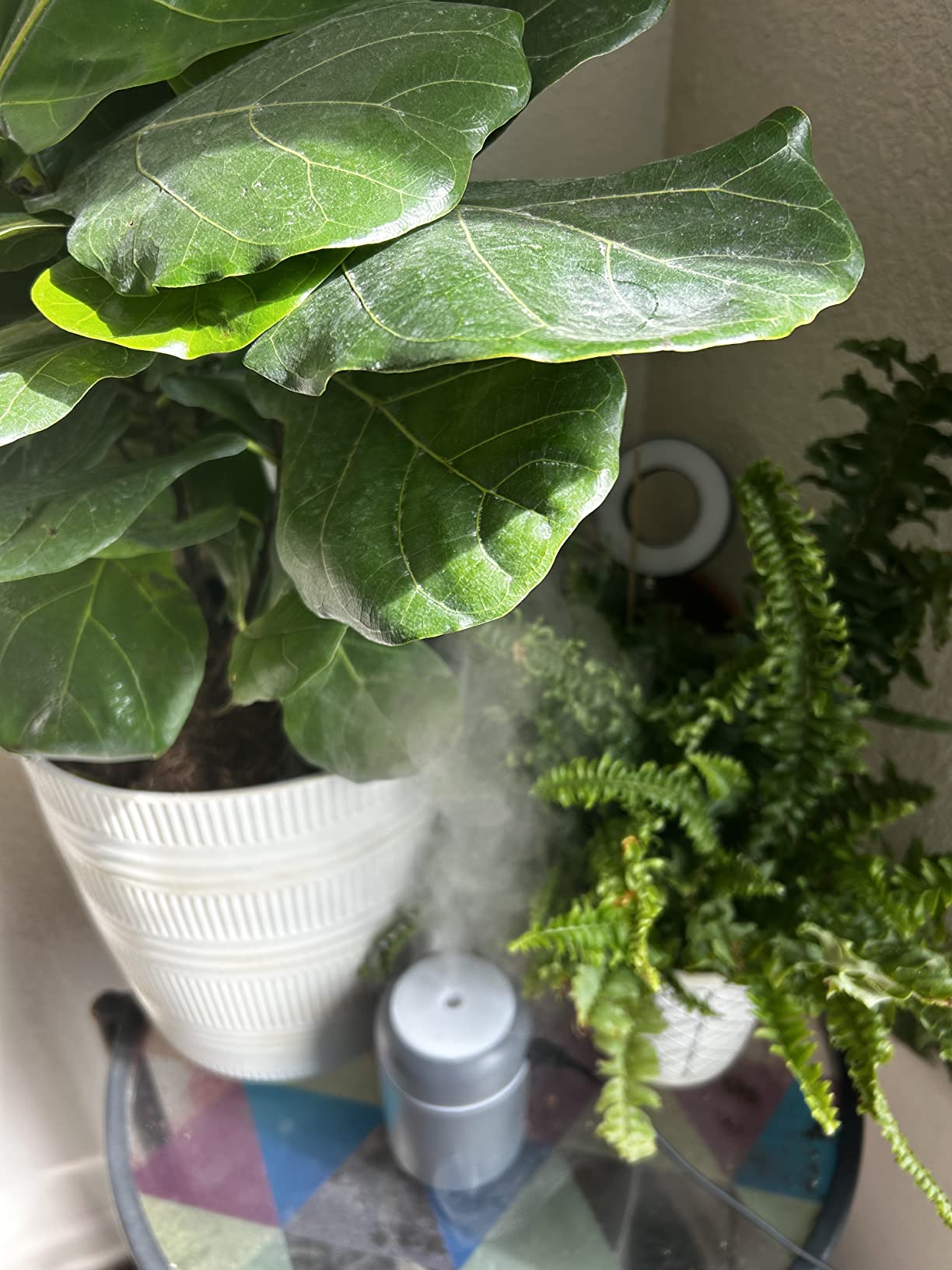 Portable Mini Humidifier, 300ml with Colorful LED Night Light, USB Personal Desktop Humidifier for Car Office Home Travel, Auto Shut-Off, 2 Mist Modes, Super Quiet(grey) customer photo 2