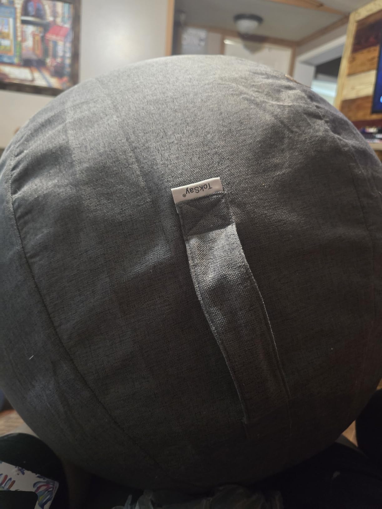 Exercise Ball Chair with Fabric Cover, Standard Size (25inches/65cm), for Home Offices, Balance Training, Yoga Ball customer photo 1