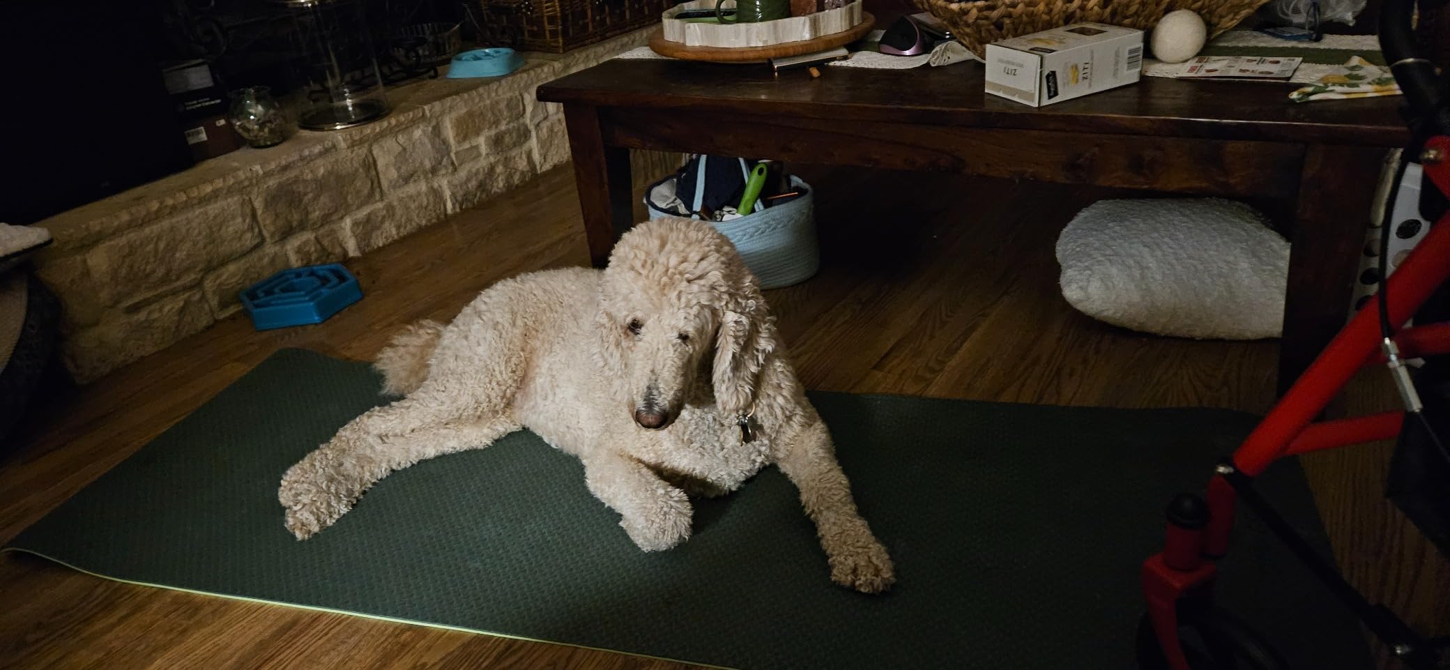 Yoga Mat 1/3