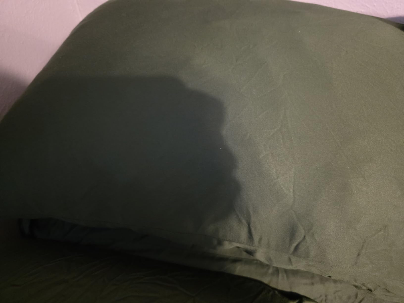 DOZ Sheet Set, 100% Viscose derived from Bamboo, Organically Grown, Buttery Soft, Cooling Sheets, High GSM, Deep Pockets - 3 Piece - 2 Pillowcases 1 Fitted Sheet (Forest, Queen) customer photo 2