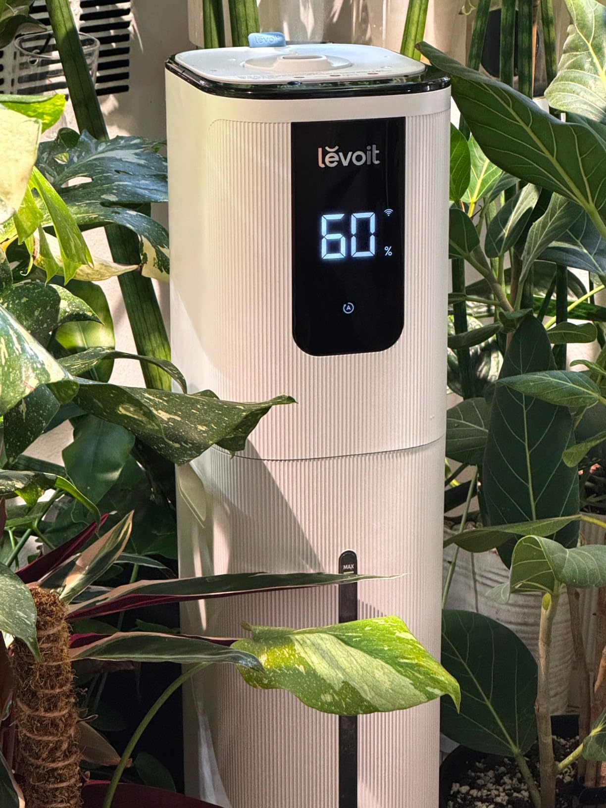 LEVOIT OasisMist 1000S (10L) Smart Humidifier for Home Large Room Bedroom, Last 100 Hours Suitable for Indoor Plant, Cover up to 600ft2, Easy Top Fill, Remoter & Voice Control, Auto Mode, Quiet customer photo 1