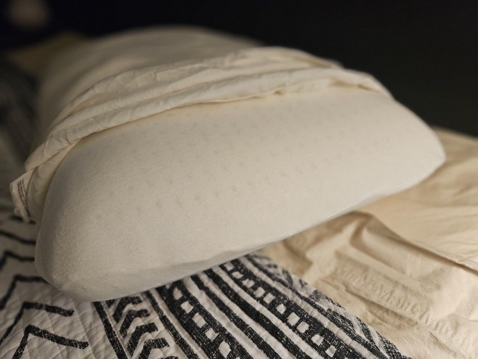 JOTOM 100% Natural Talalay Latex Pillow Sleeping Bed Pillow - Luxury Queen Pillow for Side, Back, and Stomach Sleepers - Removable Breathable Cotton Cover (Queen Mid Loft) customer photo 1