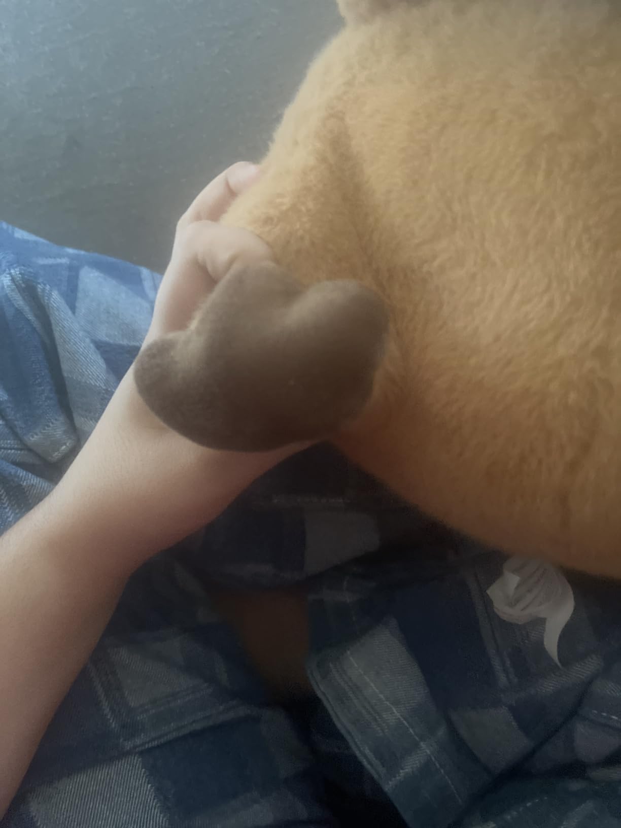 Lilly's Love Weighted Stuffed Animals for Adults & Kids -- 5lb Calming Sloth Plush for Anxiety, ADHD & Sensory | Machine Washable Weighted Stuffed Animal w/Removable Insert | Stevie The Sloth customer photo 2