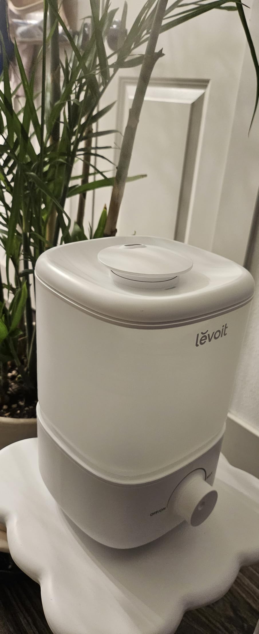 LEVOIT Top Fill Humidifiers for Bedroom, 2.5L Tank for Large Room, Easy to Fill & Clean, 28dB Quiet Cool Mist Air Humidifier for Home Baby Nursery & Plants, Auto Shut-off for Safety, 25H customer photo 2