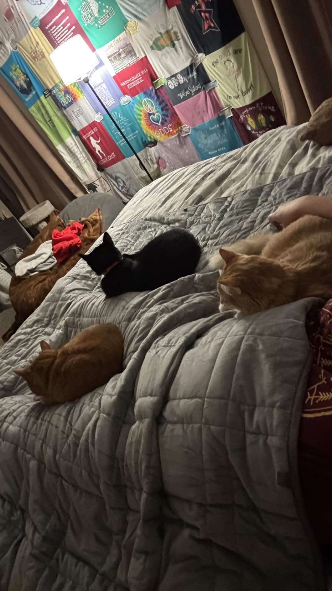 Weighted Blanket King Size 25lbs (88