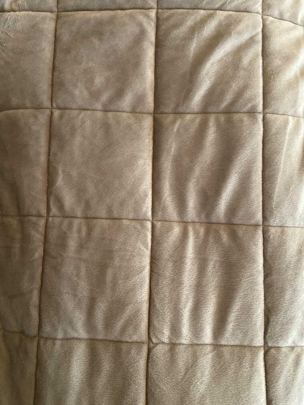 Wemore Minky Dot Weighted Blanket for Adults Twin Size 15 lbs, Soft Cozy Heavy Blanket for Stress Relief and Sleep Promotion, Breathable Blanket for All-Season with Glass Beads, Grey 48 x 72 inches customer photo 2
