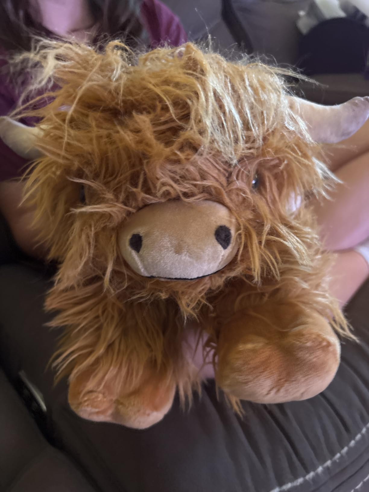 Highland Cow Stuffed Animals, Microwavable Stuffed Animals Heating Pad for Cramps, Pain Stress Relief, Heatable & Coolable Lavender Scented Cow Plush Toy for Anxiety, Women Kid Bedtime Highland Cattle customer photo 1