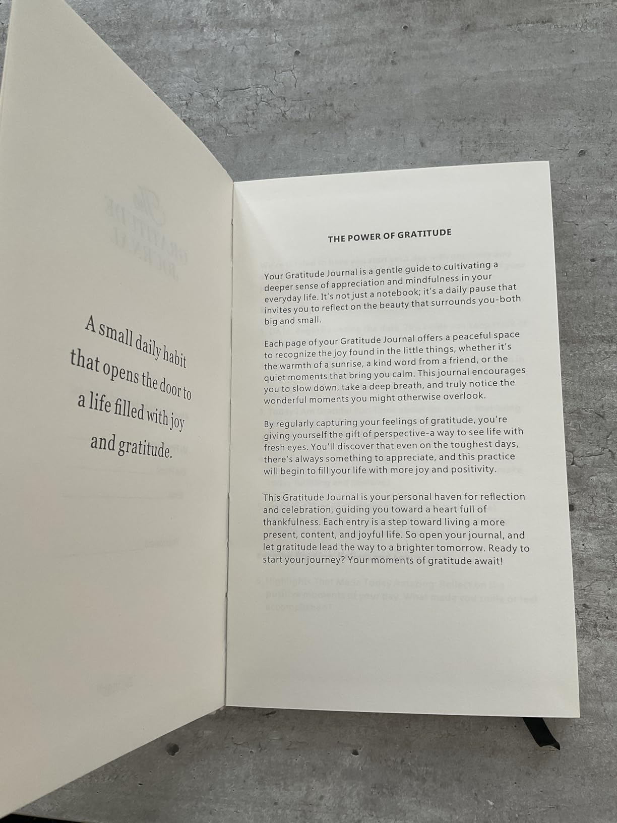 The Original Gratitude Journal - Daily Gratitude Practice with Inspiring Prompts & Quotes for Mindfulness, Reflection & Personal Growth 2026 - Wellness Journal for Men & Women customer photo 2