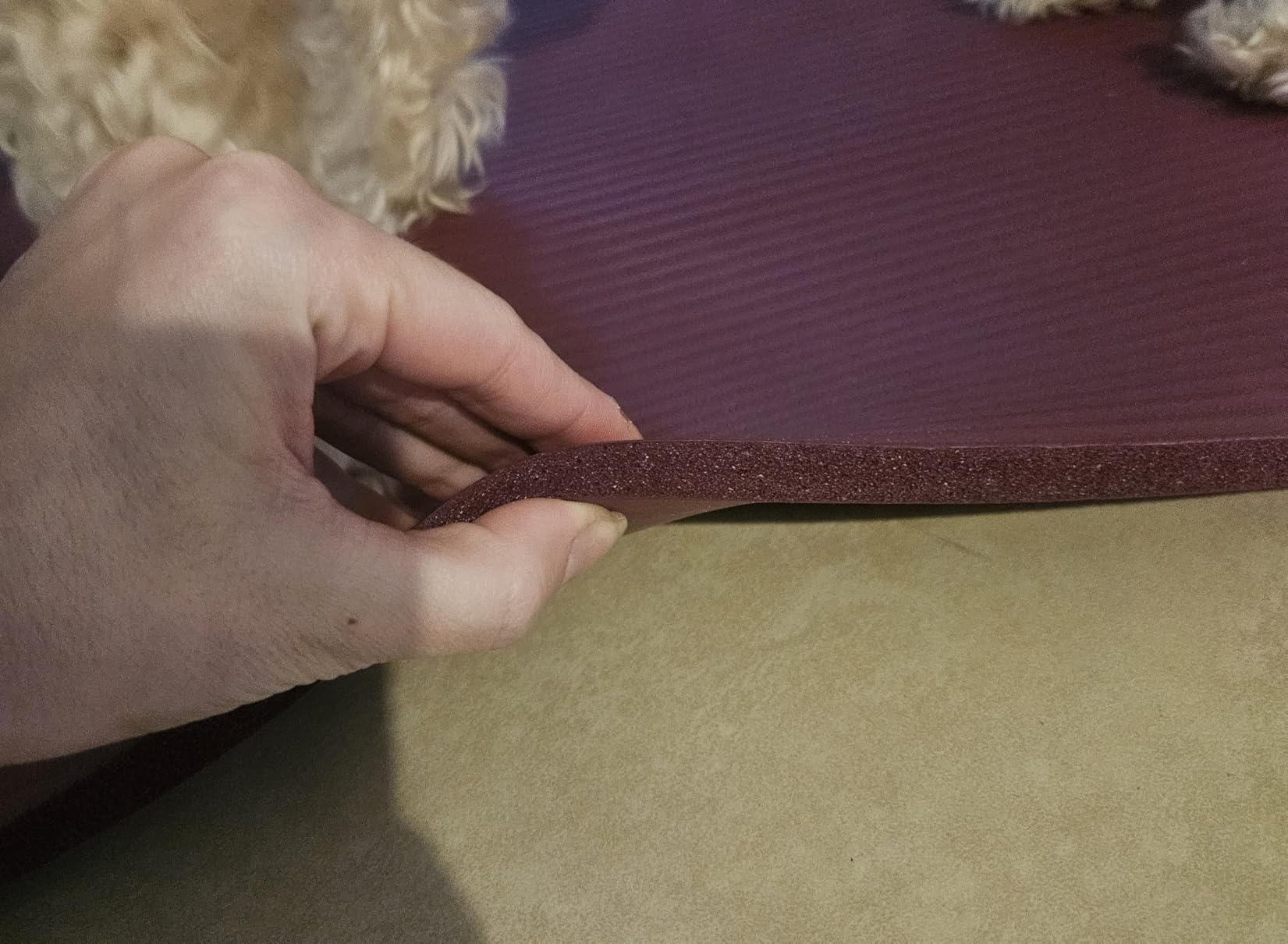 Fitvids Yoga Mat, 1/2-Inch Extra Thick High Density Exercise Mat, Anti-Tear Exercise Yoga Mat with Carrying Strap customer photo 2