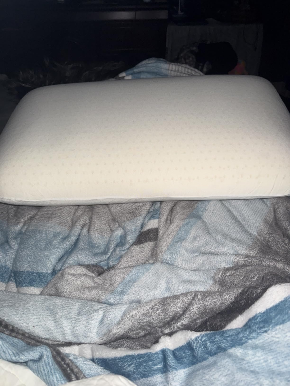 100% Natural Talalay Latex Pillow, Luxury Support Sleeping Bed Pillow for Side, Back, and Stomach Sleepers, Removable Breathable Cotton Cover, Standard (Medium 6.2''H) customer photo 1