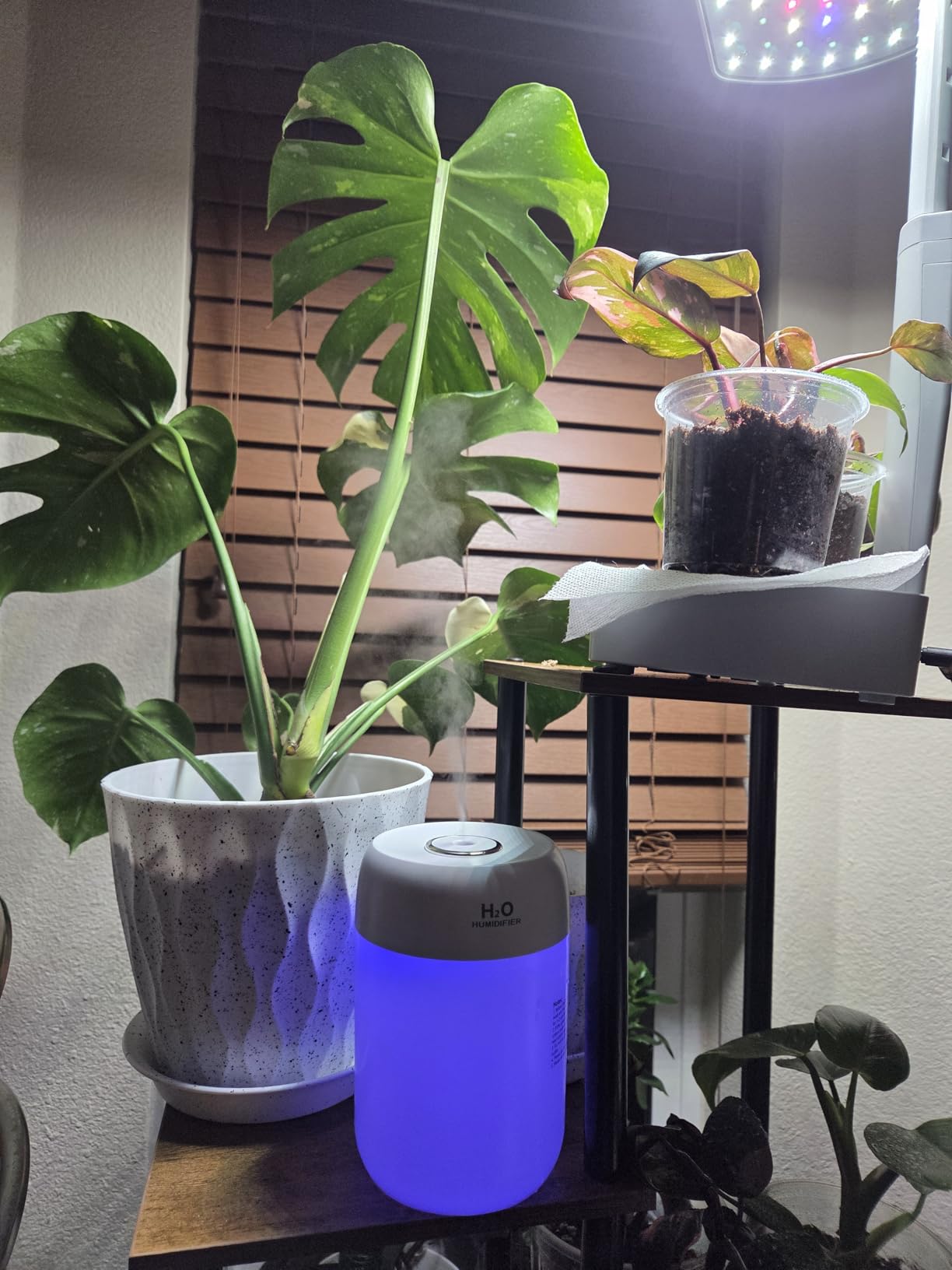 Portable Small Humidifier, 650ml Colorful Mini Humidifier for Bedroom, Office Desktop, Baby Room, Plants, Cool Mist Humidifiers(White) customer photo 2