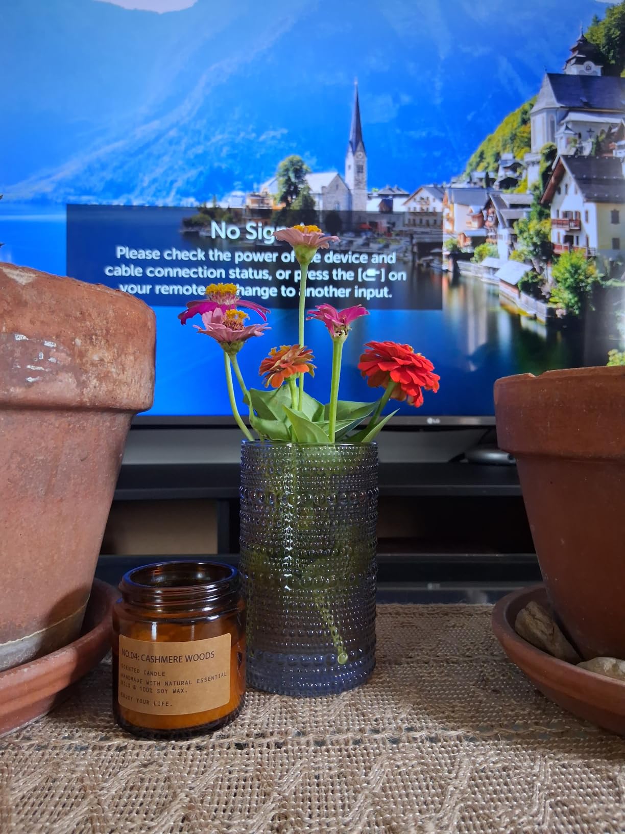 6-Pack Scented Candles for Home, 3.5 Oz Soy Wax Aromatherapy Candle Gift Set, Lavender Chamomile, Eucalyptus Mint & Vanilla, Birthday Gifts for Women, Thank You Graduation Gifts customer photo 2
