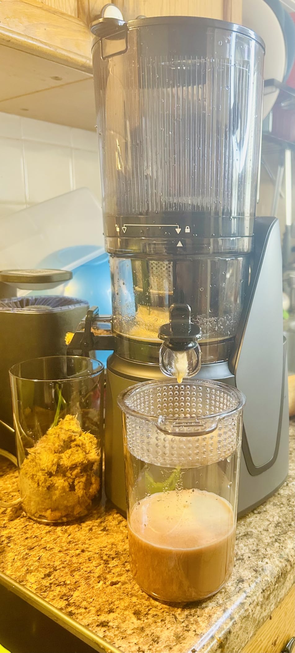 EanOruus Juicer Machines, 3-in-1 Cold Press Juicer, Premium Gray customer photo 1