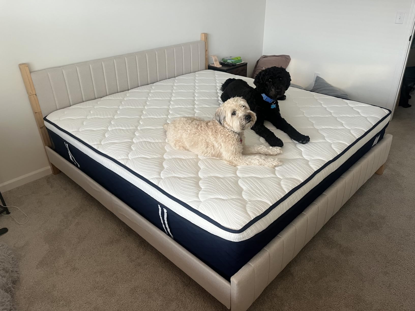 Extra Firm King Mattress 14 Inch - Hotel Collection Hybrid Mattress with 7-Zone Support for Spinal Alignment & Back Pain Relief, 366-Night Trial, CertiPUR-US & Forever Warranty customer photo 2