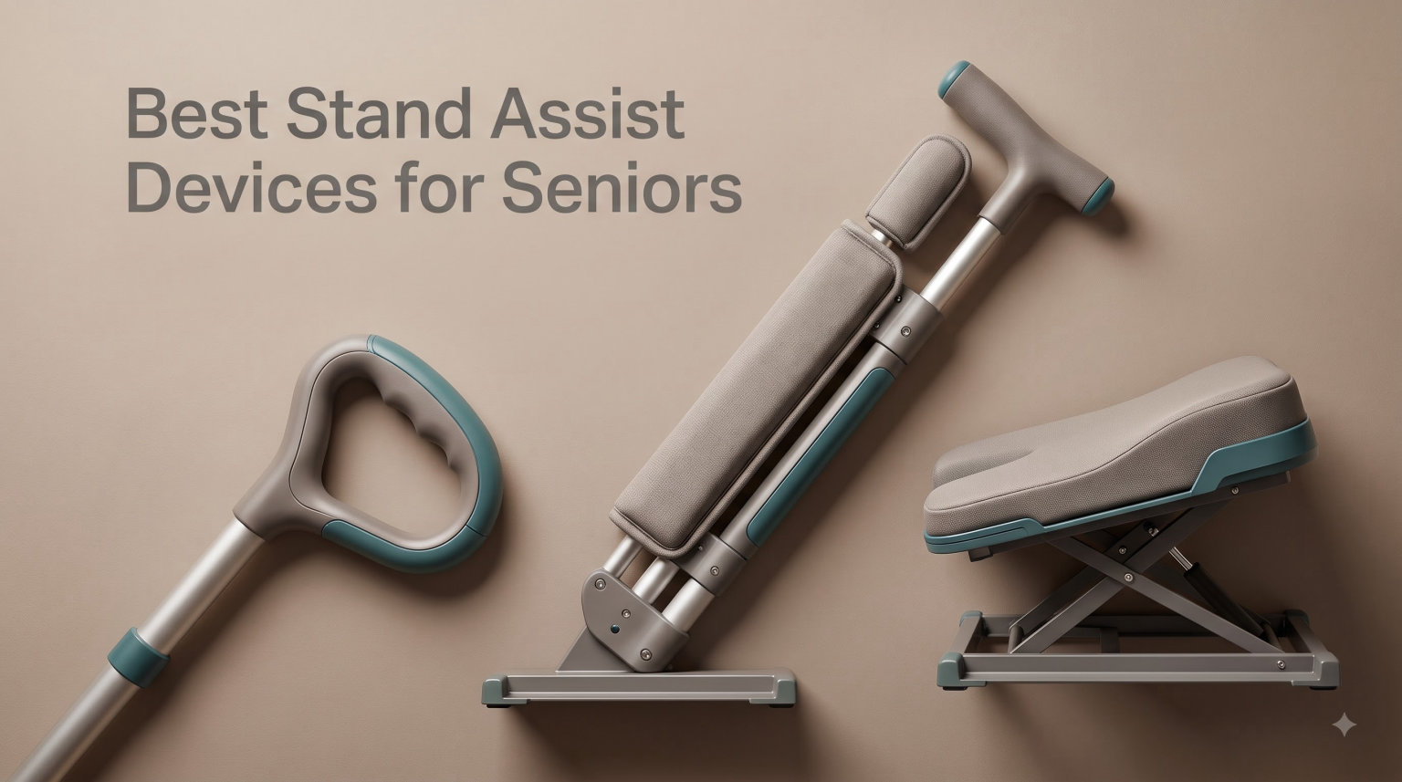 Best Stand Assist Devices for Seniors