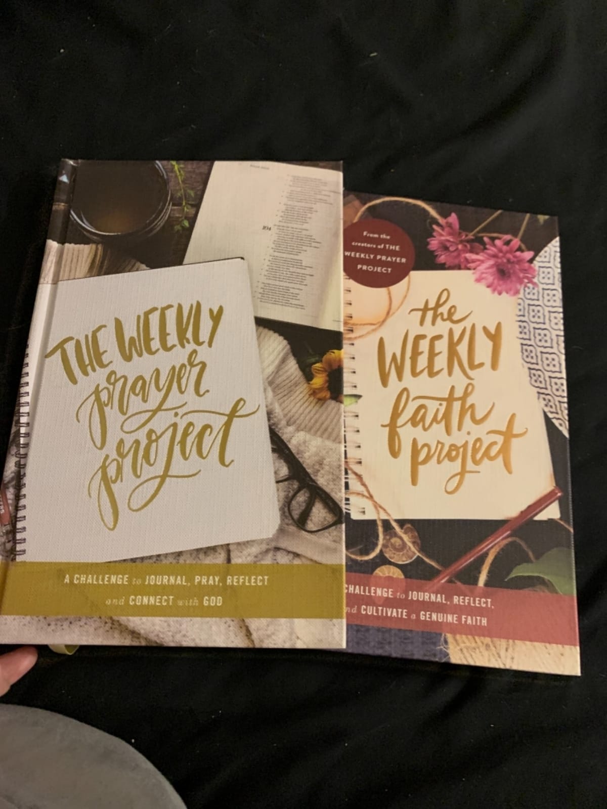The Weekly Prayer Project: A Challenge to Journal, Pray, Reflect, and Connect with God (The Weekly Project Series) customer photo 1