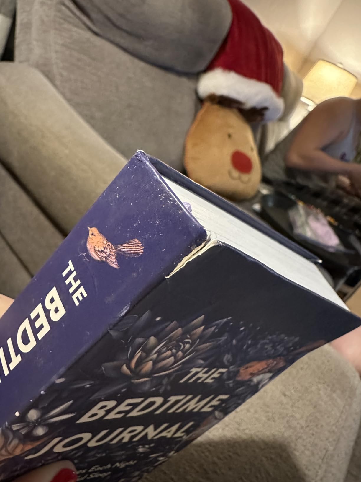 The Bedtime Journal: Two Minutes Each Night for Restful Sleep customer photo 2