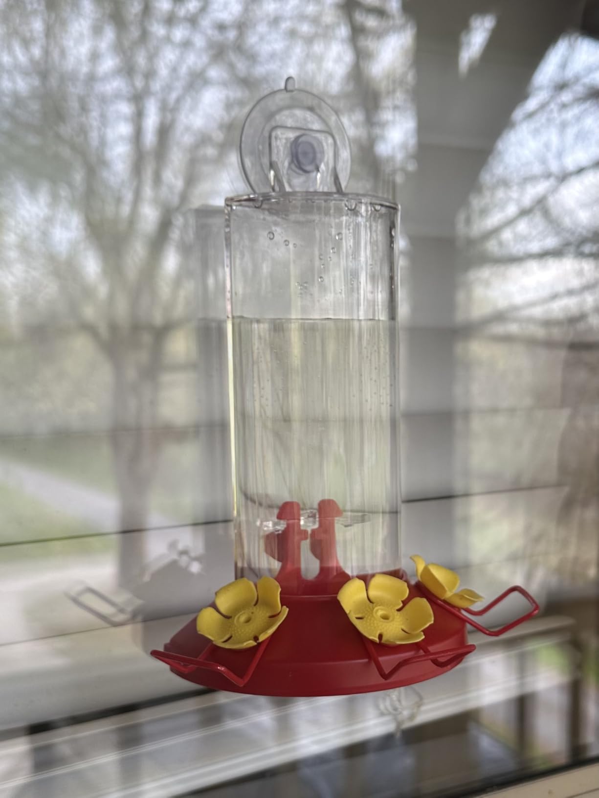 Perky-Pet Window Mount Hummingbird Feeder, 8 oz Nectar Capacity | 3 Bee Guard Ports, Suction Cup & Removable Perches, Plastic Shatter-Resistant Bottle for Outdoor Backyard Bird Watching, 217 customer photo 2