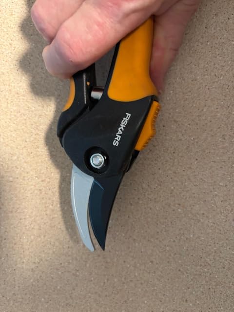Fiskars SoftGrip Bypass Pruning Shears, 5/8