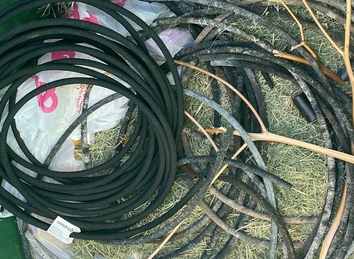 Raindrip 015005T 1/4-Inch by 50-Foot Soaker Hose Tubing for Drip Irrigation, Use in Vegetable Garden, Planters, and Borders, Black customer photo 2