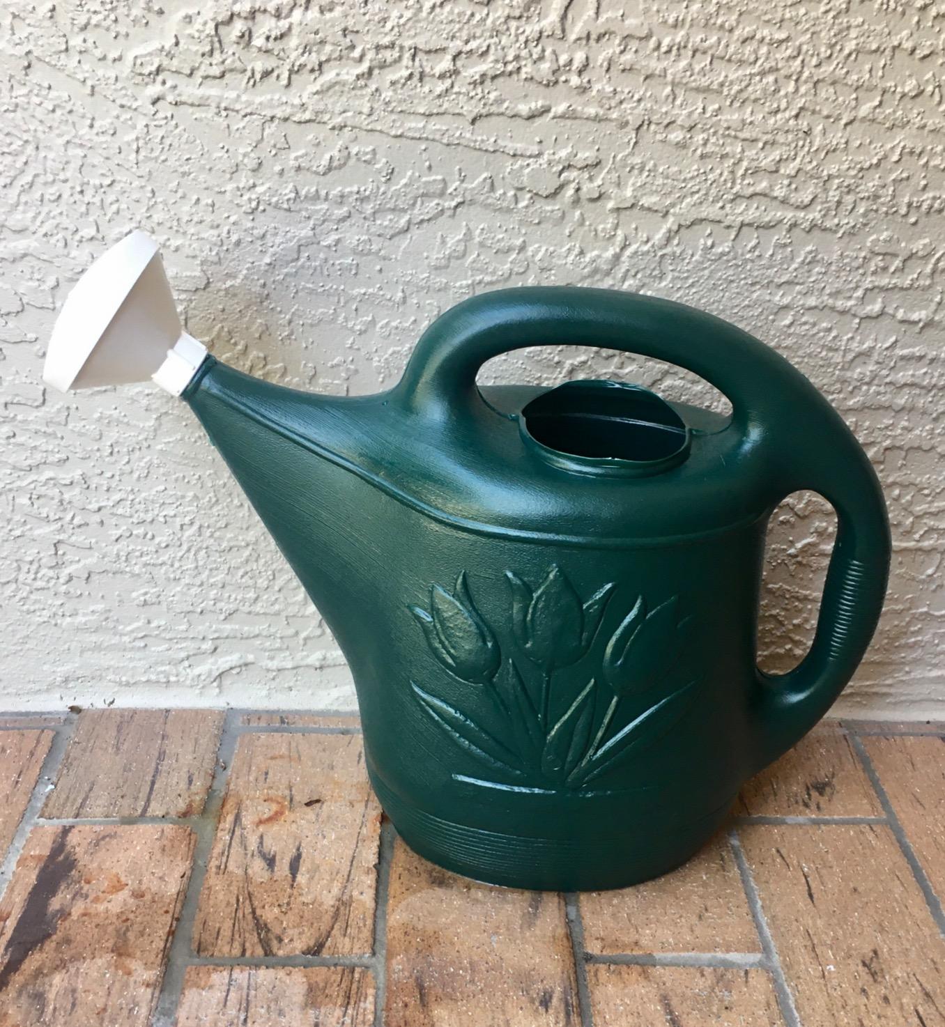 Root & Vessel 30301 Watering Can, 2-Gallon, Hunter Green customer photo 1
