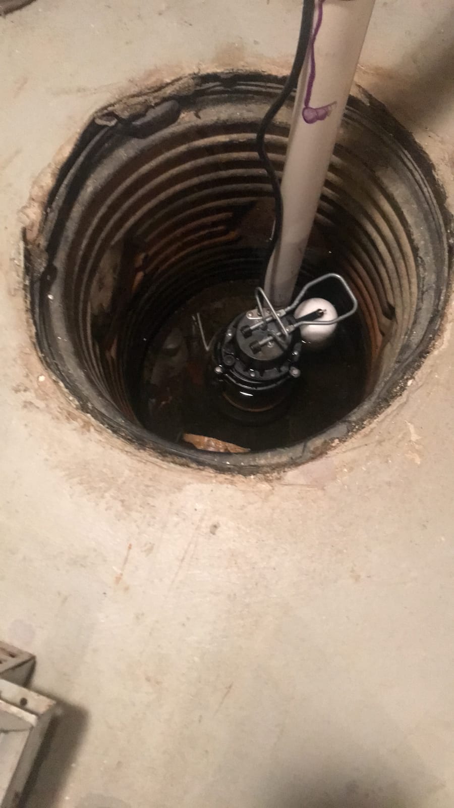 WAYNE CDU980E 3/4 HP Submersible Sump Pump - Cast Iron & Stainless Steel, Vertical Float Switch, 5,490 GPH, 5-Year Warranty customer photo 2