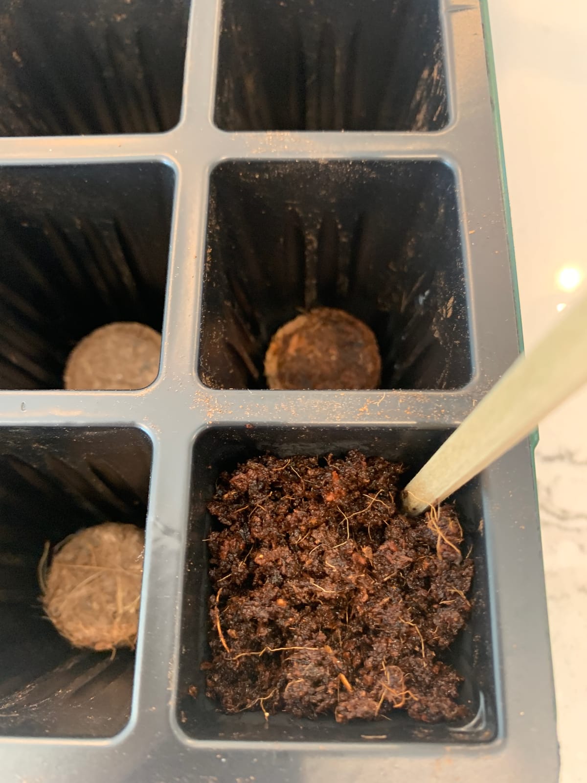 Burpee Greenhouse Indoor Starting Herbs, Flowers and Vegetables | Includes Dome, Watering, Seed Starter Tray, Coir Pellets | 10