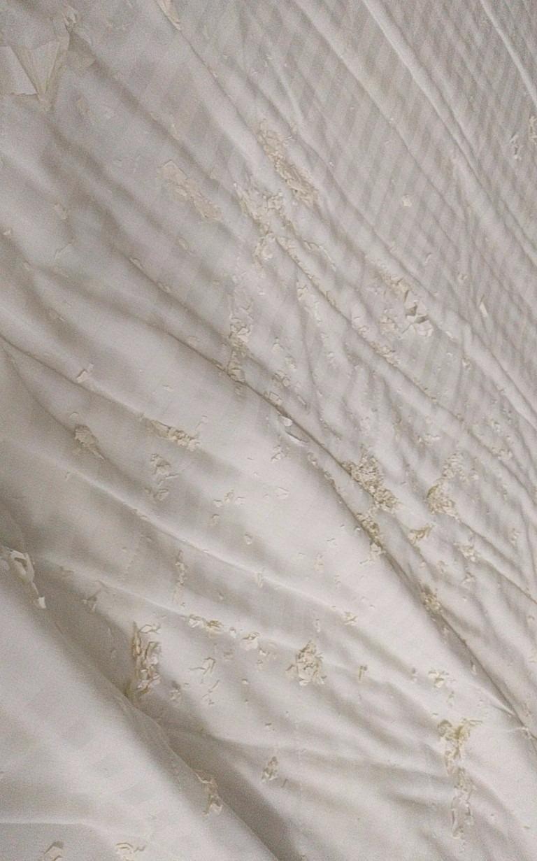 SureGuard Waterproof Mattress Protector, Queen Size Mattress Cover | Soft Noiseless Breathable Hypoallergenic Washable Mattress Pad customer photo 2