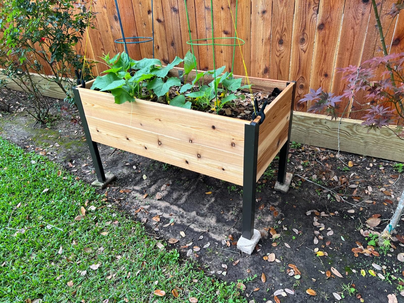 Gardener's Supply Company Elevated Cedar Raised Garden Bed 2' x 8' | Standing Planter with Heavy Duty Aluminum Corners for Outdoor Vegetable Flower Herb Planting customer photo 1
