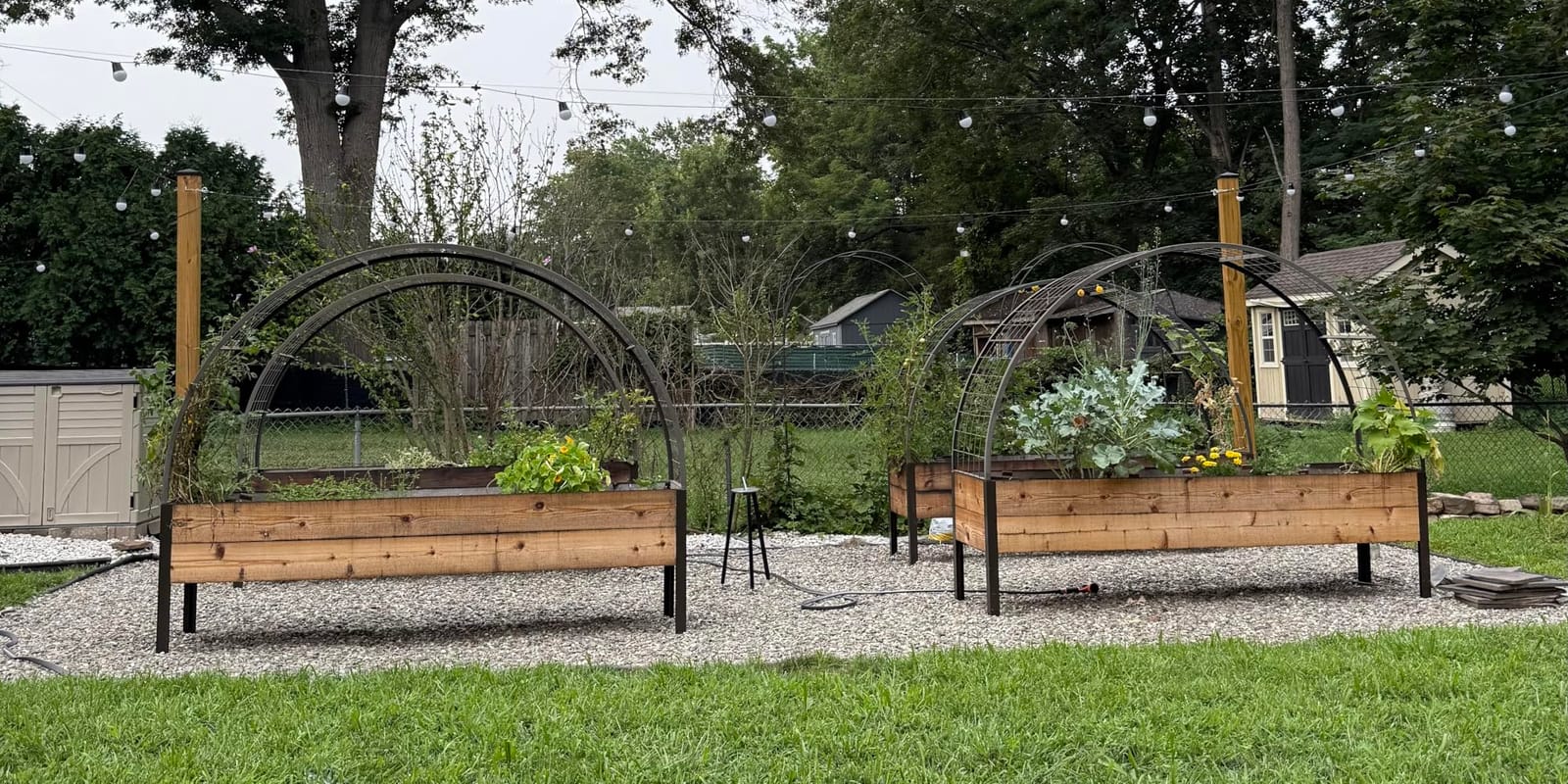 Gardener's Supply Company Elevated Cedar Raised Garden Bed 2' x 8' | Standing Planter with Heavy Duty Aluminum Corners for Outdoor Vegetable Flower Herb Planting customer photo 2