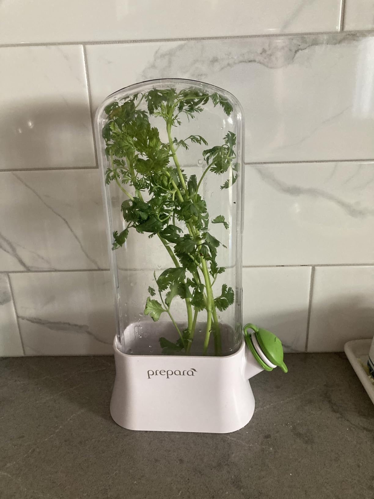 Prepara Herb Savor Eco, White/Green customer photo 2