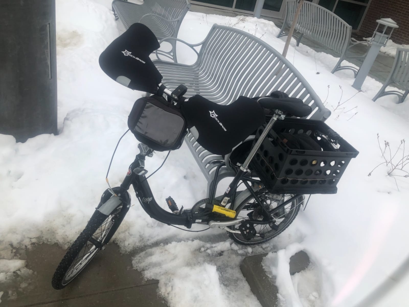 Schwinn Loop customer photo 1