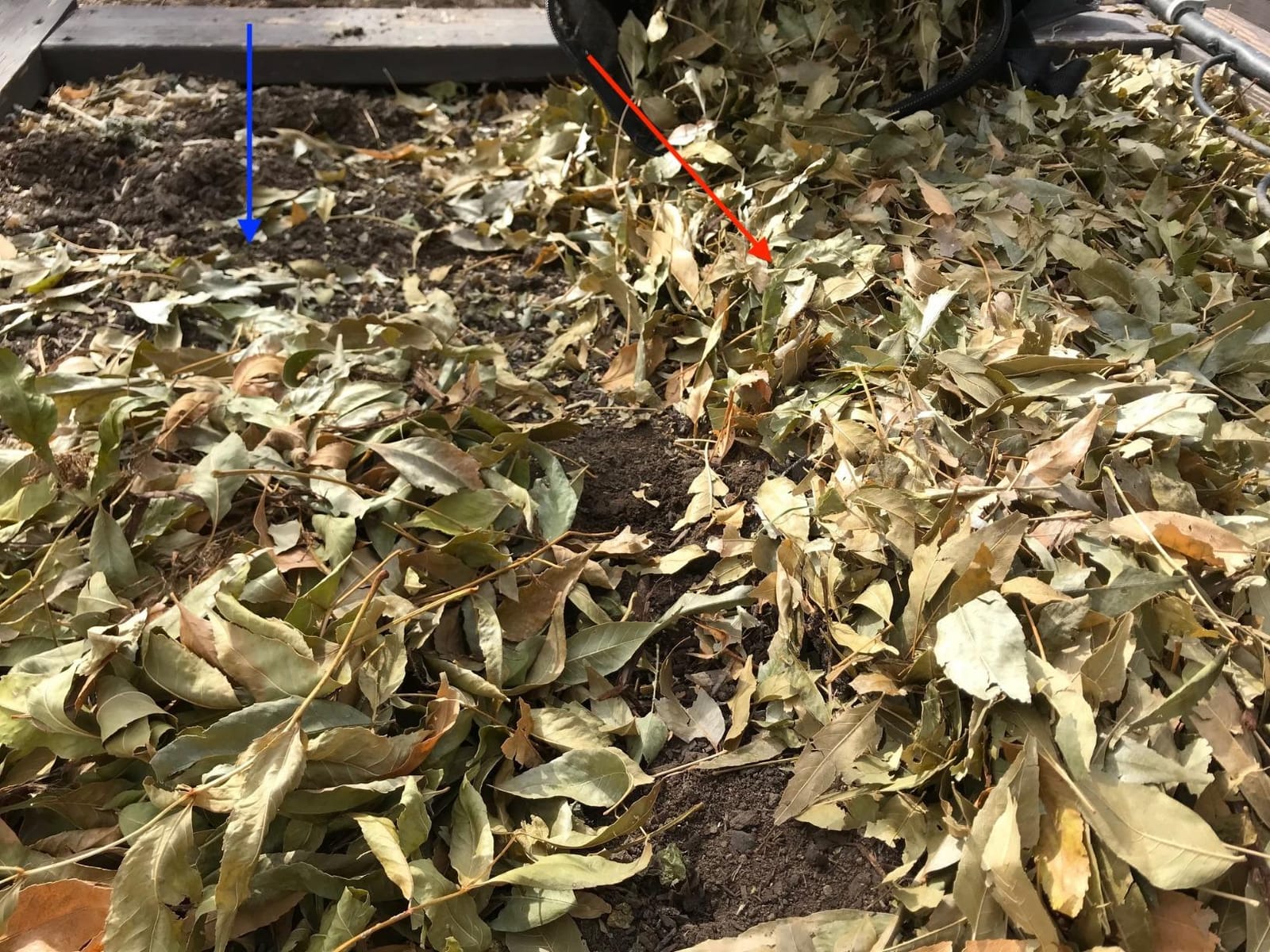 WORX Trivac 3-in-1 Electric Leaf Blower/Leaf Vacuum/Leaf Mulcher, WG509 customer photo 2